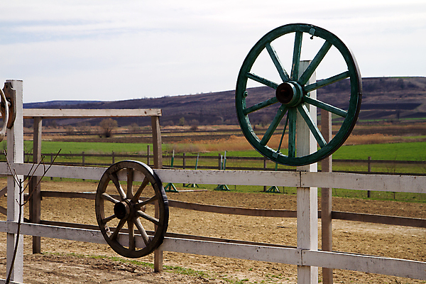 포토 JPG 해외이미지 모양 디자인 벽 2 패턴 매달리기 사람없음 목재 장식 침묵 카트 수확 흰색 바퀴 배열 오브젝트 복고 옛날 해외202004 해외포토 나무 컬러 무늬 농업 재료 모션 소리 파일형식 이미지허브
