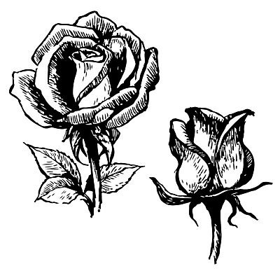 포토 JPG 해외이미지 식물 꽃 잎 꽃무늬 일러스트 자연 발렌타인데이 사랑 미술 사람없음 그래픽 장식 여름 장미 정원 수확 스케치 그림 복고 디테일 해외202004 해외일러스트 계절 감정 무늬 농업 데이이벤트 문화예술 생태계 파일형식 이미지허브