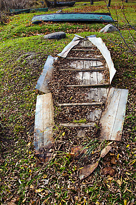 포토 JPG 해외이미지 호수 여행 컨셉 잎 교통시설 자연 풍경 사람없음 야외 목재 강 컬러풀 손상 가을 죽음 보트 작음 버리기 오브젝트 깨짐 땅바닥 썩음 조난 중고 해외202004 해외포토 나무 식물 계절 컬러 교통 배_교통 재료 모션 바닥 크기 시설 생태계 파일형식 이미지허브