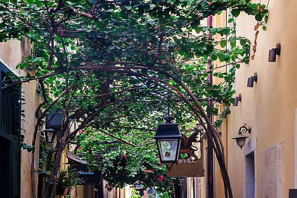 포토 JPG 해외이미지 식물 전통 외관 응시 꽃 섬 건축양식 자연 하늘 거리 주택 풍경 사람없음 야외 건물 파란색 상점 수확 골동품 성장 발코니 바위 도시 보행로 지중해 그리스 좁은 스타일 해외202004 해외포토 건축물 시선 건축 유럽 길 바다 컬러 농업 돌_바위 생태계 파일형식 이미지허브