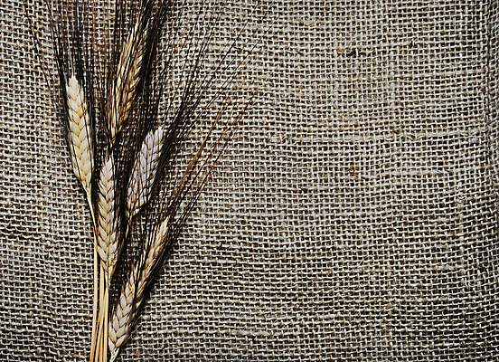 포토 JPG 해외이미지 식물 디자인 계절 음식 빵 줄기 백그라운드 농업 재료 자연 프레임 건강 씨앗 사람없음 농작물 농장 식사 빵집 수확 가을 시골 황금 농부 낟알 시리얼 밀 삼베 질감 복고 귀 밀가루 캔버스 자루 밀짚 내추럴 그런지 밭일 옛날 호밀 카피스페이스 해외202004 해외포토 직업 산업 곡류 신체부위 상점 공백 짚 가루 생태계 파일형식 천_직물 이미지허브