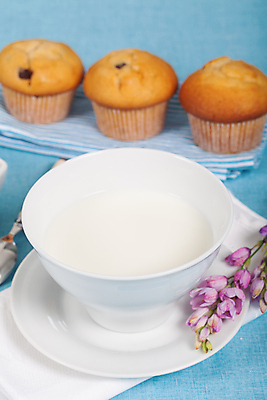 포토 JPG 해외이미지 음료 음식 다이어트 재료 유리 아침 디저트 건강 사람없음 컵 파란색 초콜릿 식사 봄 우유 추위 흰색 신선 아침식사 컵케이크 머핀 해외202004 해외포토 주간 식기 계절 빵 컬러 재질 유제품 케이크 파일형식 이미지허브