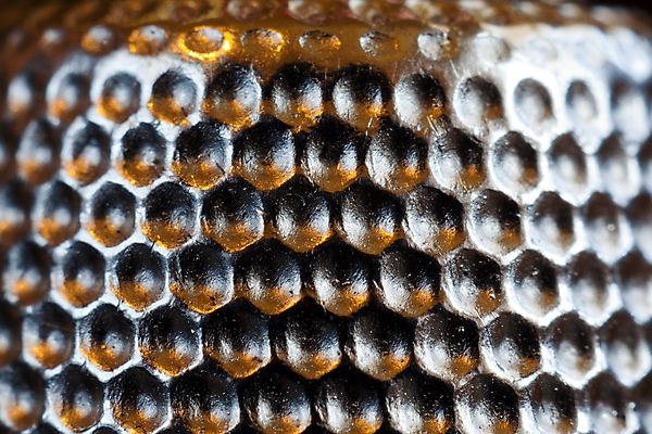 포토 JPG 해외이미지 백그라운드 패턴 추상 사람없음 금속 닫기 질감 골무 해외202004 해외포토 무늬 모션 재질 파일형식 이미지허브