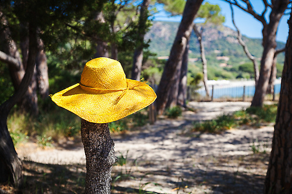 포토 JPG 해외이미지 나무 모래 파도 바다 섬 여행 자연 하늘 휴가 휴식 파노라마 풍경 사람없음 물 여름 파란색 맑음 프랑스 만 지중해 남쪽 내추럴 코르시카 터키석 해외202004 해외포토 자연요소 식물 계절 유럽 컬러 컨셉 날씨 촬영기법 보석 방향 생태계 파일형식 이미지허브