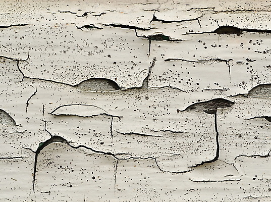 포토 JPG 해외이미지 디자인 외관 벽 백그라운드 패턴 표면 날씨 추상 바닥 사람없음 목재 페인트 수확 흰색 판넬 거친 그리기 균열 질감 복고 잡동사니 구식 그런지 수목 옛날 해외202004 해외포토 나무 컬러 무늬 농업 재료 모션 파일형식 이미지허브