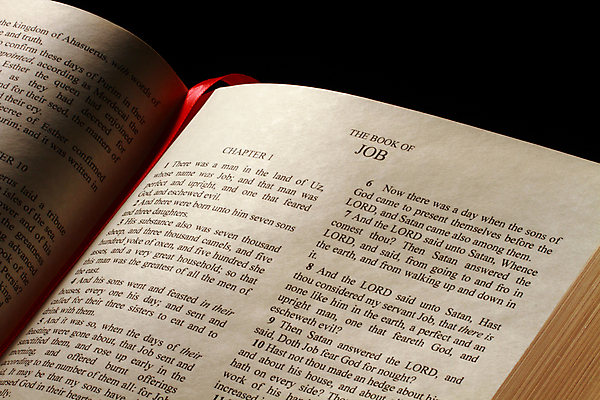 포토 JPG 해외이미지 직업 기독교 종교 새로움 사람없음 책 단어 믿음 성경 예수 집중 증거 신성 귀족 신앙심 옛날 인내 해외202004 해외포토 문자 감정 컨셉 종교용품 신_종교 파일형식 이미지허브