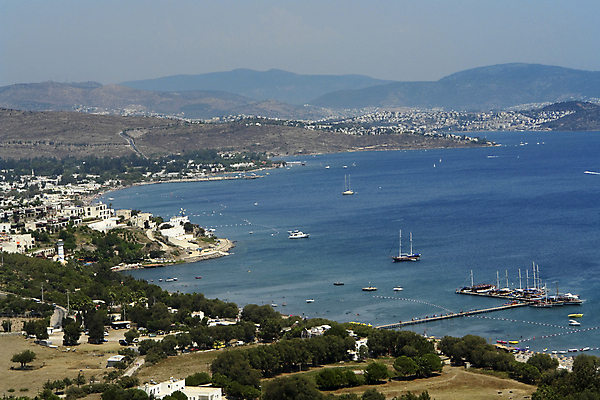 포토 JPG 해외이미지 여행 휴가 해변 사람없음 가로 여름 만 칠면조 해외202004 해외포토 계절 바다 조류 파일형식 이미지허브