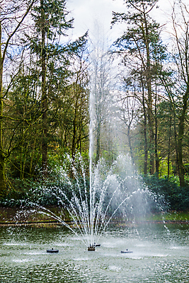 포토 JPG 해외이미지 나무 공원 호수 백그라운드 패턴 자연 사람없음 야외 장식 초록색 물 빛 정원 봄 장비 흐름 시골 연못 개울 붓기 떨어짐 뿌리기 분수 분무기 제트기 뒤뜰 스프링쿨러 스플래쉬 해외202004 해외포토 자연요소 식물 계절 공공시설 컬러 컨셉 무늬 모션 비행기 강 생태계 파일형식 이미지허브