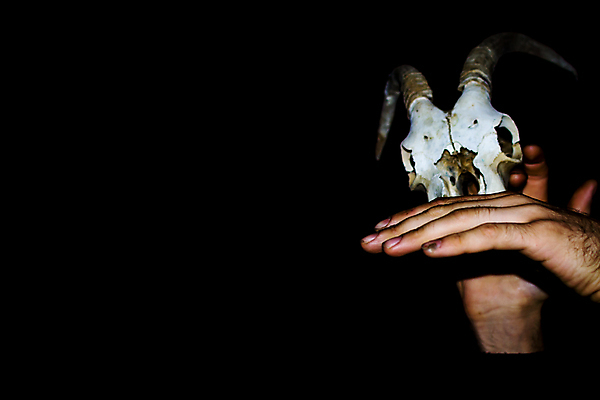 포토 JPG 해외이미지 동물 손 디자인 과학 백그라운드 일러스트 포유류 해부 자연 염소 수채화 뼈 골격 뿔 미술 사람없음 그래픽 장식 머리 검은색 수확 흰색 시골 죽음 양 그리기 소 위험 스케치 문신 심볼 묘사 그림 황소 복고 사냥 황소자리 고립 옛날 해골모형 현실 해외202004 해외포토 컬러 컨셉 농업 의학 모션 문화예술 신체부위 모형 별자리 생태계 파일형식 이미지허브