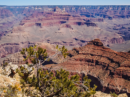 포토 JPG 해외이미지 공원 포스터 선 모래 백그라운드 오렌지 자연 벽지 산 그림자 풍경 사람없음 빨간색 빛 노란색 우주 골짜기 미국 일몰 젖음 사막 황무지 역사 엽서 애리조나 선사시대 천연기념물 강렬 서쪽 옛날 전국 콜로라도 수평선 해외202004 해외포토 공공시설 컬러 북아메리카 과일 노을 편지 방향 생태계 파일형식 이미지허브