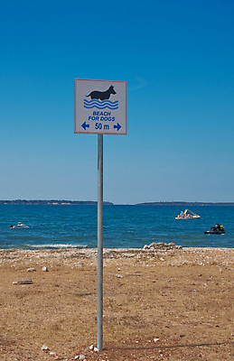 포토 JPG 해외이미지 여행 수영장 사람없음 정보 개 사인 크로아티아 충고 해외202004 해외포토 유럽 포유류 파일형식 이미지허브