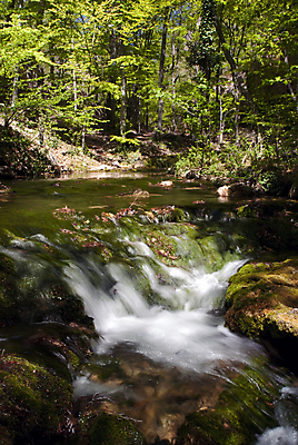 포토 JPG 해외이미지 나무 계절 잎 모션 자연 산 이끼 풍경 사람없음 야외 가로 초록색 물 여름 빛 강 햇빛 봄 폭포 흐름 안개 가을 바위 개울 황무지 매끈함 숲 속도 지역 해외202004 해외포토 자연요소 식물 컬러 컨셉 날씨 태양 돌_바위 감각 생태계 파일형식 이미지허브