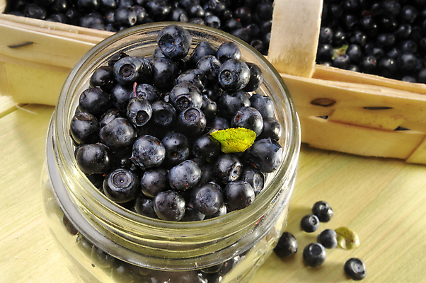 포토 JPG 해외이미지 잡화 열매 음식 다이어트 과일 유리 건강 사람없음 파란색 바구니 신선 원형 사발 컨테이너 먹기 묘사 블루베리 해외202004 해외포토 도형 식물 산업 컬러 모션 재질 사기그릇 파일형식 이미지허브