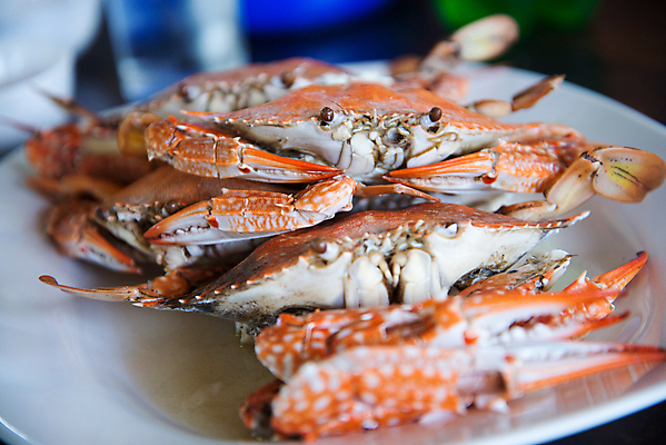 포토 JPG 해외이미지 종이 오렌지 탁자 낚시 휴가 조개 서브 주택 육류 갑각류 요리 사람없음 빨간색 파란색 소풍 쌓기 식당 식사 저녁식사 게 껍질 신선 잡기 도시 만 균열 먹기 해산물 향신료 잔치 무침 버터 동쪽 점심식사 뷔페 옛날 집게발 스타일 해외202004 해외포토 동물 음식 컬러 가구 과일 식재료 모션 레저 어패류 건물 야외활동 상점 방향 향미료 파일형식 이미지허브