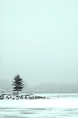 포토 JPG 해외이미지 주간 나무 겨울 자연 하늘 사람없음 야외 흐림 겨울풍경 해외202004 해외포토 자연요소 식물 계절 날씨 풍경 생태계 파일형식 이미지허브