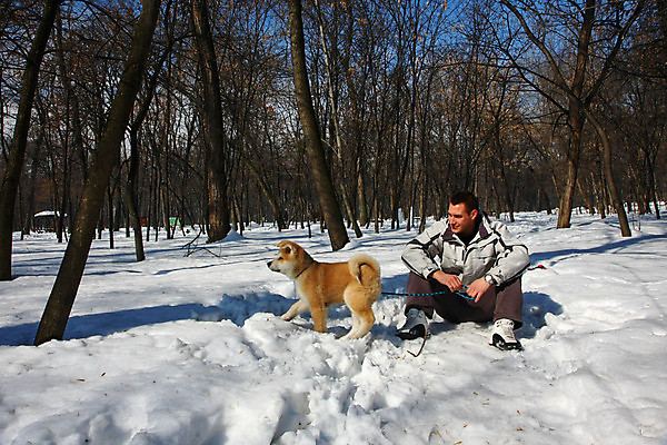 포토 JPG 해외이미지 동물 공원 겨울 한명 사람 반려동물 일본 산책 개 강아지 기르기 지능 해외202004 해외포토 1 계절 공공시설 아시아 포유류 휴식 돌봄 파일형식 이미지허브