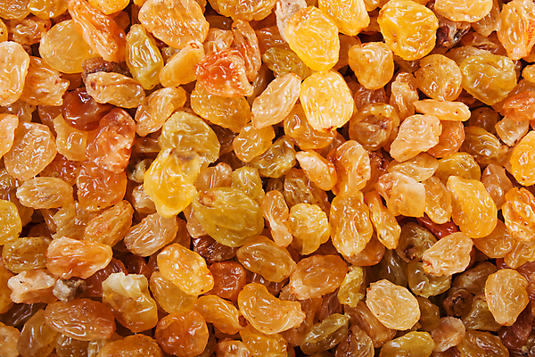 포토 JPG 해외이미지 스튜디오촬영 실내 사람없음 노란색 건과일 건포도 해외202004 해외포토 컬러 과일 포도 건조 내부 파일형식 이미지허브