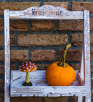 포토 JPG 해외이미지 전통 계절 백그라운드 채소 오렌지 자연 호박 휴가 주택 건강 사람없음 야외 장식 초록색 농장 문 정원 축제 버섯 할로윈 가을 축하 신선 클래식 숲 입장 사인 유기농 원예 추수감사절 스쿼시 내추럴 뒤뜰 숙성 세련 해외202004 해외포토 웰빙 기독교 스포츠 컬러 컨셉 농업 과일 취미 건물 구기 생태계 파일형식 이미지허브