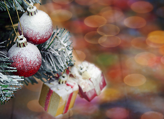 포토 JPG 해외이미지 나무 디자인 행복 별 벽 백그라운드 크리스마스 겨울 공 가족 벽지 휴가 새로움 기념 선물 사람없음 목재 장식 빨간색 세로 초록색 빛 상자 장난감 파티 축제 나뭇가지 축하 인사 소나무 신용카드 황금 널 소프트포커스 12월 연도 활 보케 엽서 마법 전나무 2016년 블러 해외202004 해외포토 자연요소 식물 계절 기념일 감정 컬러 컨셉 재료 관계 촬영기법 이벤트 금융 예절 날짜 편지 파일형식 이미지허브