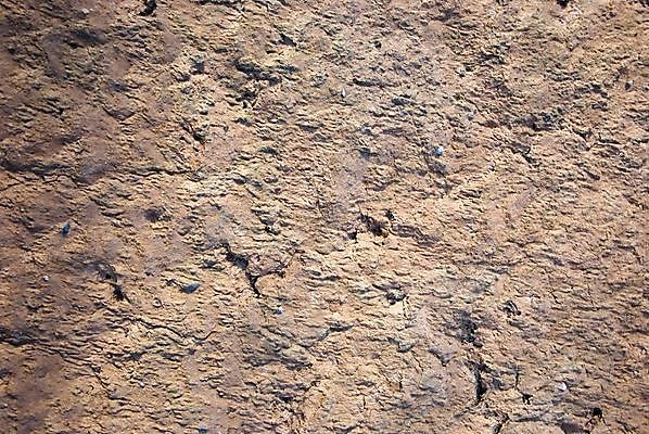 포토 JPG 해외이미지 외관 벽 백그라운드 패턴 오렌지 건축양식 표면 날씨 추상 벽돌 돌담 사람없음 건물 장식 갈색 수확 골동품 중세 중앙 질감 복고 대리석 시멘트 점토 천연기념물 나쁜 골절 그런지 르네상스 석고 옛날 중고 콘크리트 해외202004 해외포토 건축물 건축 컬러 무늬 농업 과일 재료 의학 담장 돌_바위 역사 파일형식 이미지허브