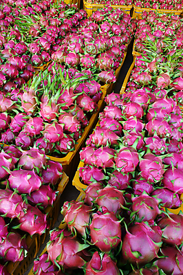 포토 JPG 해외이미지 식물 아시아 음식 분홍색 농업 과일 자연 동양인 풍경 사람없음 세로 농작물 바구니 수확 껍질 용 신선 최고 그룹 닫기 구매 상품 먹기 열대과일 베트남 팩 흙더미 짐싸기 매각 해외202004 해외포토 나라 산업 컬러 모션 인종 쇼핑 동남아시아 흙 화장품 생태계 파일형식 더미 이미지허브