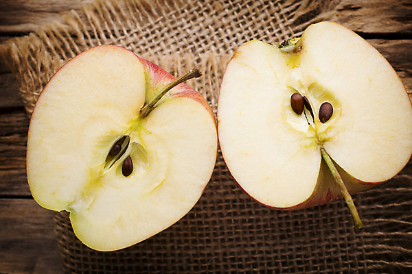 포토 JPG 해외이미지 과일 사람없음 농작물 갈색 달콤 사과 해외202004 해외포토 컬러 농업 맛 파일형식 이미지허브