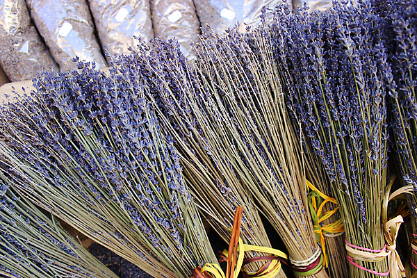 포토 JPG 해외이미지 식물 꽃 유럽 꽃다발 꽃무늬 자연 건조 사람없음 장식 초록색 여름 파란색 약 세일 보라색 봄 프랑스 시골 시장 다발 지중해 허브 제비꽃 향수 향기 아로마 향 아로마테라피 라벤더 내추럴 프로방스 해외202004 해외포토 계절 나라 바다 컬러 무늬 의학 화장품 생태계 냄새 테라피 파일형식 이미지허브