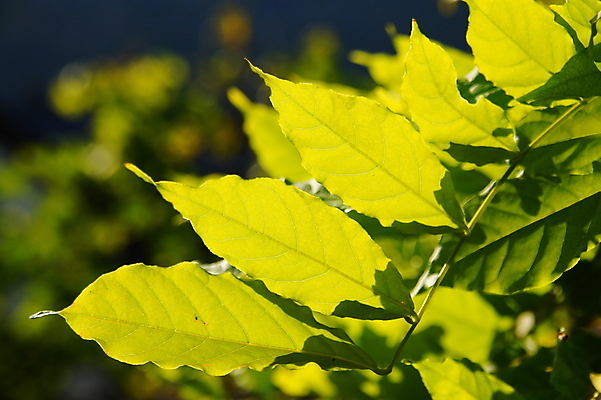 포토 JPG 해외이미지 사람없음 해외202004 해외포토 파일형식 이미지허브