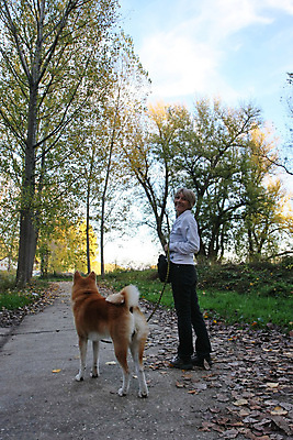 포토 JPG 해외이미지 나무 자연 하늘 그림자 한명 야외 초록색 컬러풀 걷기 환경 가을 개 숲 세르비아 해외202004 해외포토 식물 1 계절 컬러 포유류 모션 사람 생태계 파일형식 이미지허브