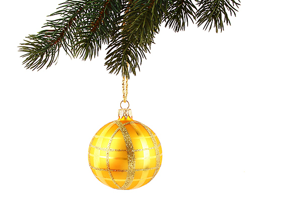 포토 JPG 해외이미지 잎 크리스마스 겨울 사람없음 장식 빨간색 빛 오브젝트 해외202004 해외포토 식물 계절 기념일 컬러 파일형식 이미지허브