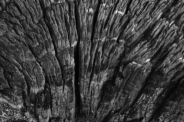 포토 JPG 해외이미지 나무 백그라운드 패턴 표면 사람없음 목재 쌓기 검은색 어둠 뜨거움 널 장작 숯 흙더미 광 석탄 여신 화상 해외202004 해외포토 식물 컬러 무늬 재료 모션 흙 상처 파일형식 더미 이미지허브