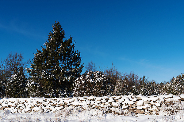 포토 JPG 해외이미지 나무 벽 겨울 패턴 자연 하늘 벽돌 스웨덴 풍경 사람없음 야외 파란색 울타리 우주 침묵 블록 추위 바위 흰색 시골 땅 질감 고체 옛날 가문비나무 해외202004 해외포토 식물 계절 컬러 무늬 북유럽 담장 소리 돌_바위 생태계 파일형식 이미지허브