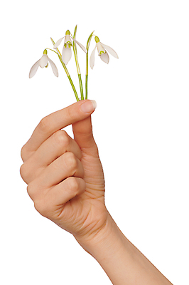 포토 JPG 해외이미지 식물 전통 손 계절 꽃잎 꽃 문화 줄기 꽃다발 잎 겨울 꽃무늬 자연 선물 사람없음 야외 장식 초록색 정원 침묵 봄 들꽃 성장 벚꽃 흰색 신선 잡기 눈송이 개화 선택 떨어짐 숲 4월 다발 배열 심볼 헌병 세련 해외202004 해외포토 컬러 컨셉 무늬 모션 눈_날씨 신체부위 소리 군인 날짜 생태계 파일형식 이미지허브