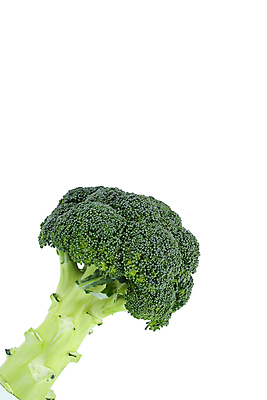 포토 JPG 해외이미지 음식 줄기 잎 다이어트 채소 건강 요리 사람없음 초록색 컬러풀 요식업 저녁식사 흰색 신선 최고 고명 몸무게 브로콜리 날씬함 유기농 날것 칼로리 섬유 성분 내추럴 점심식사 고립 식욕 적자 해외202004 해외포토 식물 웰빙 산업 컬러 식사 직물 몸매 파일형식 이미지허브