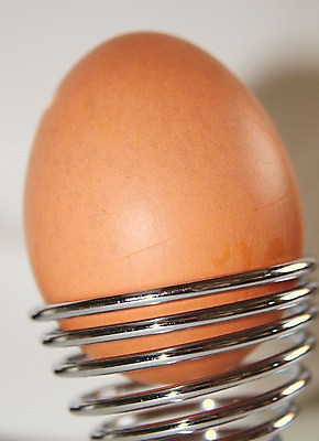 포토 JPG 해외이미지 음식 2 다이어트 추상 나선형 건강 그림자 요리 사람없음 갈색 금속 계란 봄 껍질 쌍 아침식사 정상 오브젝트 각도 노른자 넘어짐 단백질 삶기 식용 처음 해외202004 해외포토 계절 컬러 무늬 모션 재질 알 식사 영양소 파일형식 이미지허브