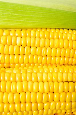 포토 JPG 해외이미지 식물 음식 잎 패턴 농업 채소 재료 자연 건강 옥수수 사람없음 초록색 농작물 농장 노란색 수확 신선 황금 달콤 아침식사 낟알 시리얼 유기농 질감 알맹이 날것 해외202004 해외포토 웰빙 산업 컬러 무늬 곡류 식사 맛 생태계 파일형식 이미지허브