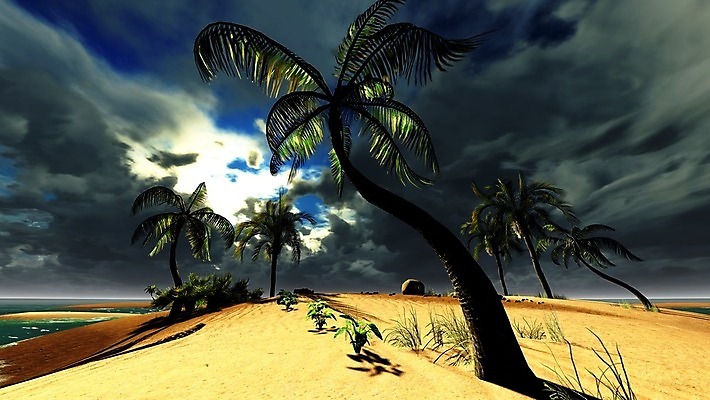 포토 JPG 해외이미지 나무 구름 모래 바다 섬 여행 잎 자연 하늘 휴가 손바닥 풍경 사람없음 야외 초록색 물 여름 파란색 태양 여행객 침묵 일몰 꿈 만 작음 휴양지 하와이 장면 암초 코코넛 석호 몰디브 이국적 터키석 파라다이스 해외202004 해외포토 자연요소 식물 손 계절 아시아 컬러 과일 사람 노을 미국 소리 장소 크기 보석 생태계 파일형식 이미지허브