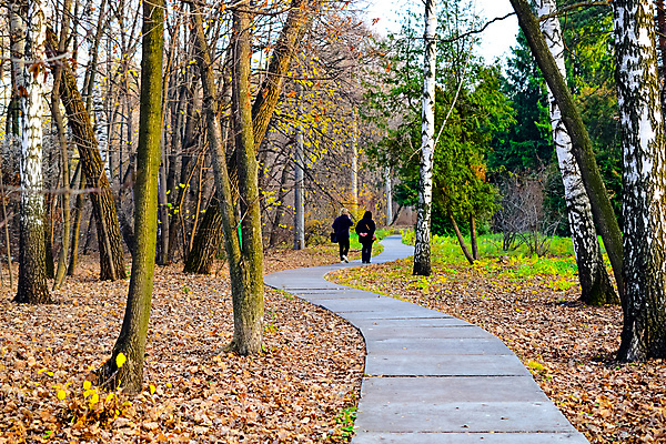 포토 JPG 해외이미지 나무 커플 계절 공원 도로 길 스포츠 여행 잎 겨울 자연 스키 거리 사람 풍경 사람없음 야외 목재 초록색 여름 달리기 노란색 걷기 산책 추위 가을 숲 식물원 해외202004 해외포토 식물 공공시설 컬러 재료 관계 교통시설 모션 겨울스포츠 휴식 생태계 파일형식 이미지허브
