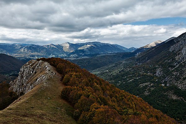 포토 JPG 해외이미지 나무 계절 공원 유럽 여행 하늘 휴가 산 사람없음 야외 가로 이탈리아 가을 정상 숲 해외202004 해외포토 식물 공공시설 나라 파일형식 이미지허브