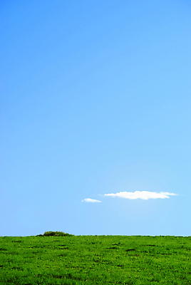 포토 JPG 해외이미지 구름 계절 야생동물 밭 자연 하늘 날씨 풍경 잔디 사람없음 야외 초록색 여름 파란색 햇빛 태양 농장 노란색 우주 환경 침묵 봄 기쁨 자유 수확 시골 보호 민들레 땅 허브 심플 조경 장면 천국 솜털 넘어짐 수평선 해외202004 해외포토 자연요소 식물 동물 꽃 감정 컬러 컨셉 농업 모션 소리 생태계 파일형식 이미지허브