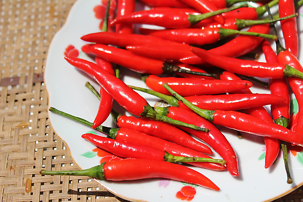 포토 JPG 해외이미지 식물 접시 음식 백그라운드 2 채소 재료 고추 주택 파프리카 건강 사람없음 목재 빨간색 초록색 쇼핑 쌓기 바구니 주방 흰색 시골 신선 뜨거움 양념 먹기 버드나무 삼베 향신료 에코 매움 날카로움 향료 후추 칠레 살사댄스 생태학 숙성 페퍼로니 핸드메이드 해외202004 해외포토 나무 식기 교육 컬러 모션 건물 환경 춤 남아메리카 소시지 맛 향기 냄새 향미료 파일형식 천_직물 이미지허브