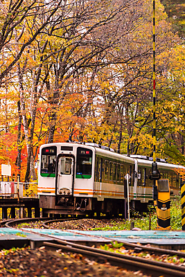 포토 JPG 해외이미지 나무 계절 여행 컨셉 잎 자연 휴가 산 풍경 사람없음 야외 빨간색 초록색 강 컬러풀 반사 노란색 골짜기 일본 기차 안개 가을 흰색 역 숲 출퇴근 해외202004 해외포토 식물 아시아 육상교통 컬러 비즈니스 교통시설 날씨 대중교통 생태계 파일형식 이미지허브