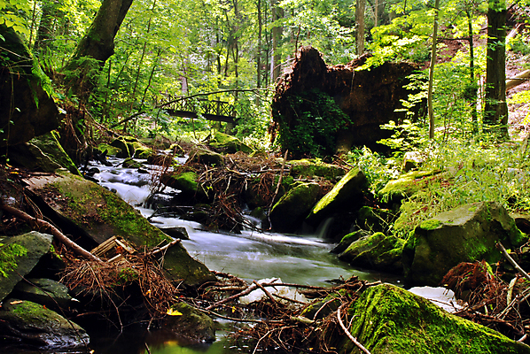 포토 JPG 해외이미지 나무 공원 호수 잎 모션 자연 산 이끼 풍경 사람없음 야외 초록색 물 강 태양 평화 골짜기 봄 폭포 젖음 흐름 가을 바위 흰색 개울 떨어짐 매끈함 수증기 숲 시원함 뿌리 장노출 체코 스플래쉬 해외202004 해외포토 자연요소 식물 계절 공공시설 유럽 컬러 컨셉 촬영기법 감각 생태계 파일형식 이미지허브