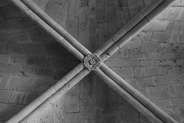 포토 JPG 해외이미지 유럽 종교 백그라운드 컨셉 건축양식 사람없음 내부 빛 성당 교회 평화 어둠 프랑스 골동품 바위 기도 기둥 복도 중세 역사 명상 아치 대리석 신성 수도원 고딕 고물 수녀원 옛날 프로방스 해외202004 해외포토 건축 나라 재료 종교건축 건물 돌_바위 파일형식 이미지허브