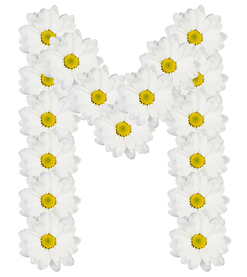 포토 JPG 해외이미지 식물 캐릭터 디자인 알파벳 꽃 꽃다발 백그라운드 꽃무늬 텍스트 자연 창조 사람없음 장식 여름 노란색 정원 맑음 봄 활발 벚꽃 흰색 신선 우아함 편지 심볼 데이지 냄새 타입 고립 스타일 해외202004 해외포토 영어 계절 컬러 컨셉 무늬 날씨 생태계 파일형식 이미지허브