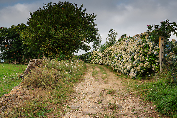 포토 JPG 해외이미지 유럽 길 여행 자국 자연 휴가 산 파노라마 풍경 사람없음 야외 관광지 환경 트래킹 하이킹 시골 스페인 오솔길 생태계 내추럴 방법 해외202004 해외포토 나라 레저 촬영기법 파일형식 이미지허브