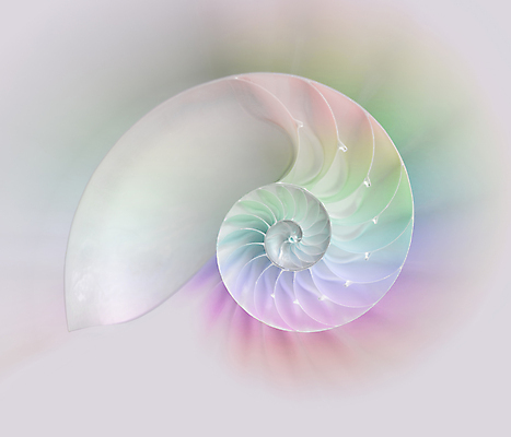 포토 JPG 해외이미지 모래 패턴 곡선 하늘 조개 나선형 사람없음 여름 햇빛 일출 소용돌이 껍질 만 자르기 회의실 질감 부드러움 내추럴 무한 앵무조개 해외202004 해외포토 계절 선 무늬 모션 어패류 태양 노을 회오리 감각 파일형식 이미지허브