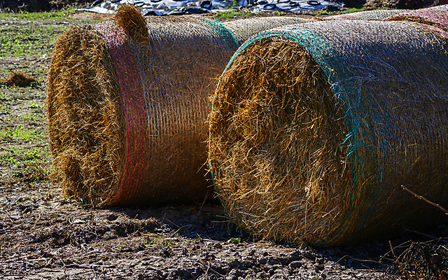 포토 JPG 해외이미지 계절 백그라운드 밭 농업 자연 하늘 프레임 씨앗 사람없음 가로 세로 여름 파란색 농작물 농가 농장 기계 봄 장비 수확 시골 업무 볏짚 결합 땅 자르기 밀 먼지 트랙터 뭉치 밀짚 갈퀴 밭일 파종 해외202004 해외포토 식물 산업 컬러 모션 곡류 농사 작업 짚 농기계 생태계 특수차량 파일형식 이미지허브