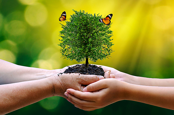 포토 JPG 해외이미지 나무 식물 손 지구 어린이 백그라운드 컨셉 잎 농업 가족 자연 새로움 관리 씨앗 사람없음 초록색 세계 글로벌 지구본 환경 흙 봄 행성 성장 잡기 보호 숲 에코 생태계 원예 유지 개발 돌봄 모종 생태학 소셜 심기 옛날 해외202004 해외포토 계절 교육 산업 컬러 관계 모션 사람 취미 신체부위 우주 파일형식 이미지허브