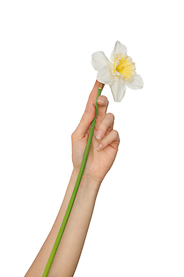 포토 JPG 해외이미지 식물 1 손 여자 꽃잎 꽃 꽃무늬 손가락 가족 자연 부활절 사랑 사람 소녀 사람없음 초록색 여름 청춘 노란색 봄 흰색 잡기 개화 배열 눈물 싱글 수선화 내추럴 고립 미신 해외202004 해외포토 계절 기념일 감정 어린이 컬러 컨셉 무늬 관계 모션 신체부위 생태계 파일형식 이미지허브